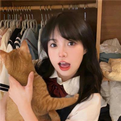 狗仔窥视界