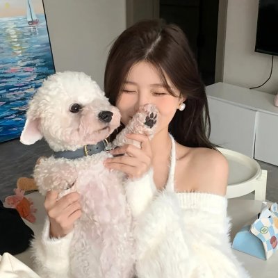 对不起,我磕到你了